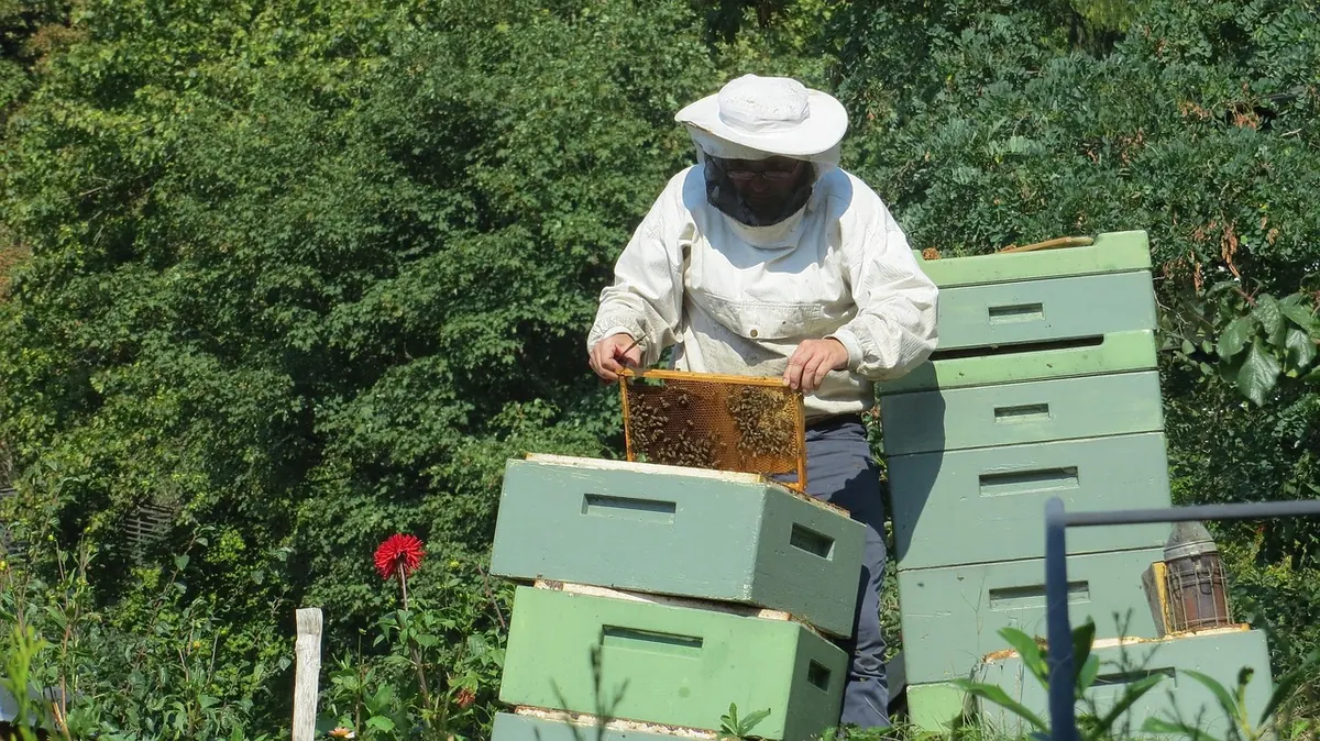 Common Beekeeping Mistakes in the First Year (and How to Avoid Them)